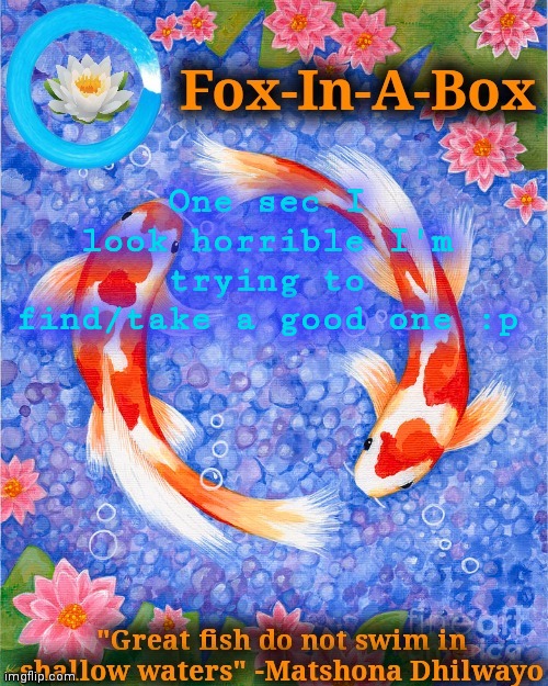 One sec I look horrible I'm trying to find/take a good one :p | image tagged in fox-in-a-box fish temp | made w/ Imgflip meme maker