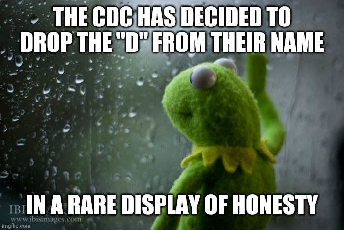 kermit window | THE CDC HAS DECIDED TO DROP THE "D" FROM THEIR NAME; IN A RARE DISPLAY OF HONESTY | image tagged in kermit window | made w/ Imgflip meme maker