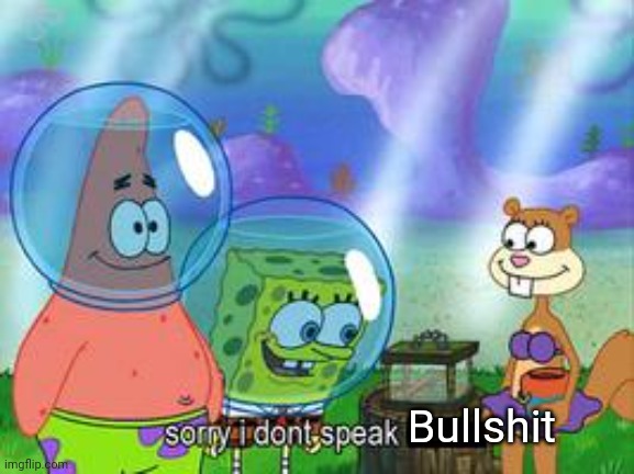 Sorry I don't speak ____ | Bullshit | image tagged in sorry i don't speak ____ | made w/ Imgflip meme maker