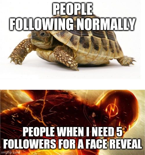 I literally got 6 followers in 10 seconds | PEOPLE FOLLOWING NORMALLY; PEOPLE WHEN I NEED 5 FOLLOWERS FOR A FACE REVEAL | image tagged in slow vs fast meme | made w/ Imgflip meme maker