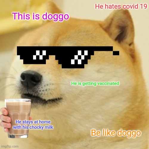 Doge | He hates covid 19; This is doggo; He is getting vaccinated; He stays at home with his chocky milk; Be like doggo | image tagged in memes,doge | made w/ Imgflip meme maker