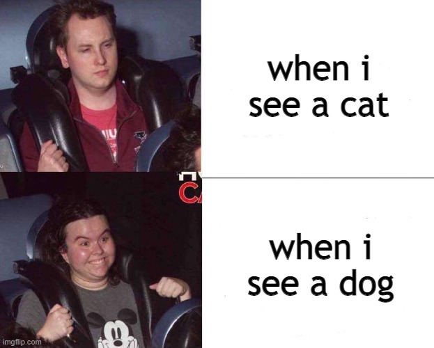 Dogs are just better, man | when i see a cat; when i see a dog | image tagged in roller coaster mood | made w/ Imgflip meme maker