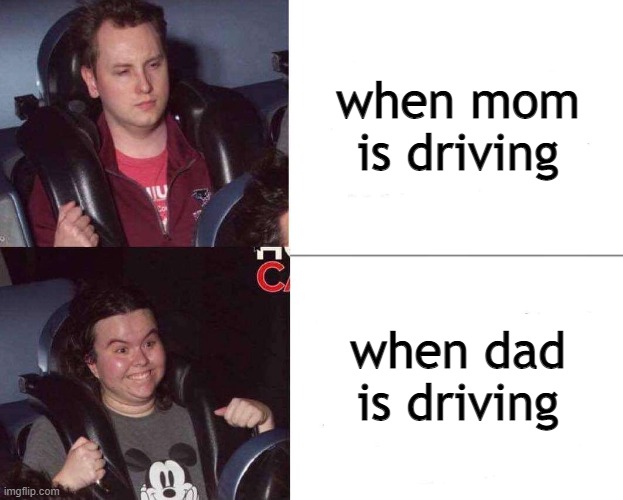 Dads are better drivers | when mom is driving; when dad is driving | image tagged in roller coaster mood | made w/ Imgflip meme maker
