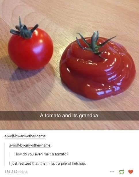Tomato & grandpa Blank Meme Template