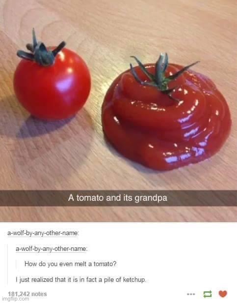Tomato & grandpa | image tagged in tomato grandpa | made w/ Imgflip meme maker