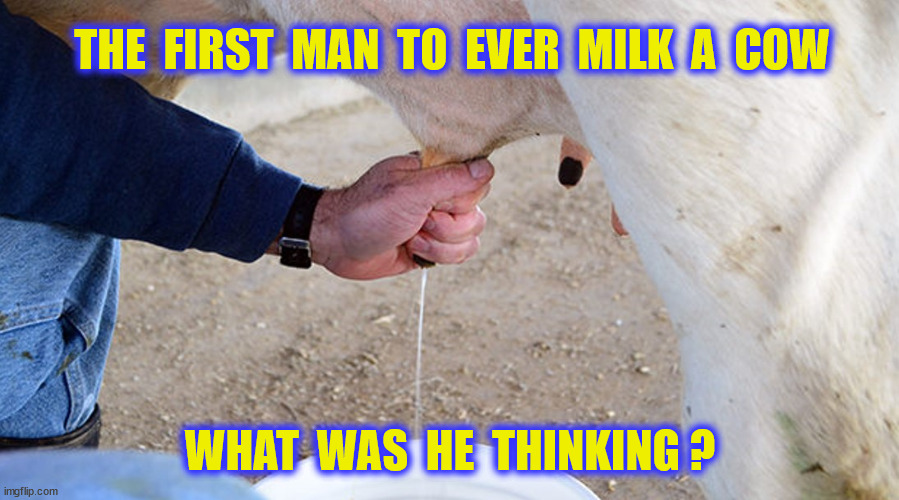 THE  FIRST  MAN  TO  EVER  MILK  A  COW WHAT  WAS  HE  THINKING ? | made w/ Imgflip meme maker