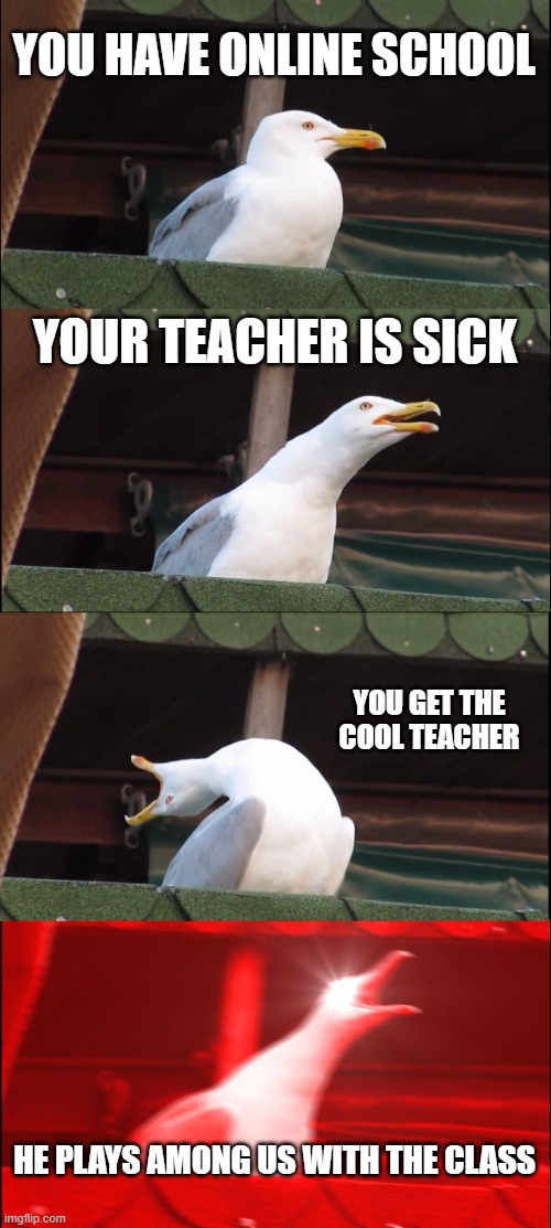 Inhaling Seagull | YOU HAVE ONLINE SCHOOL; YOUR TEACHER IS SICK; YOU GET THE COOL TEACHER; HE PLAYS AMONG US WITH THE CLASS | image tagged in memes,inhaling seagull | made w/ Imgflip meme maker