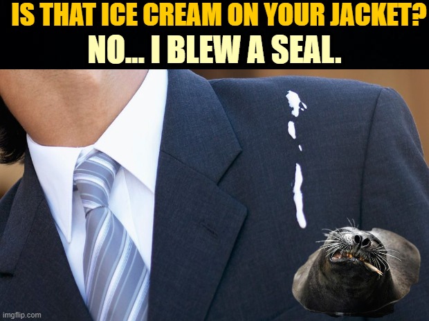 IS THAT ICE CREAM ON YOUR JACKET? NO... I BLEW A SEAL. | made w/ Imgflip meme maker