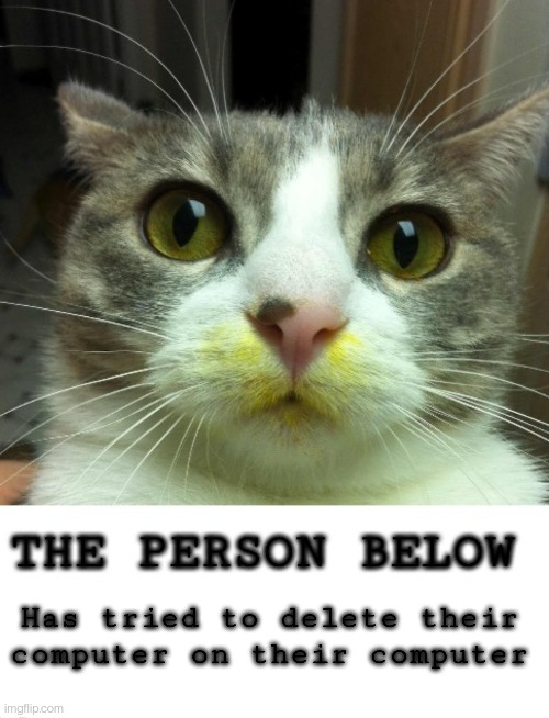 First post of the new temp! | Has tried to delete their computer on their computer | image tagged in the person below cat | made w/ Imgflip meme maker