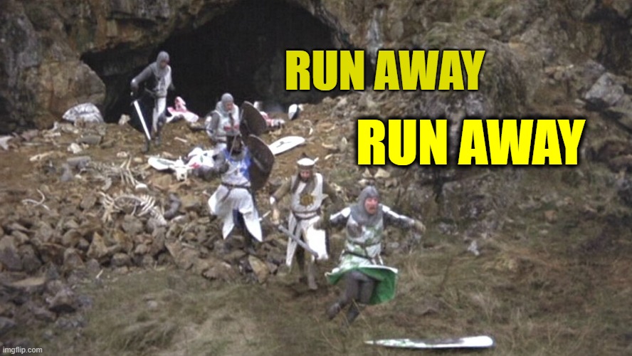 ◄► Reaction: Run away! | RUN AWAY; RUN AWAY | image tagged in monty python and the holy grail,comment,reaction | made w/ Imgflip meme maker