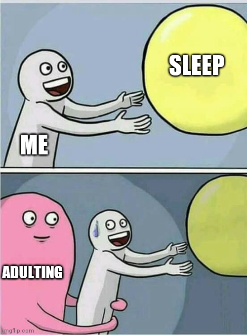 Send help | SLEEP; ME; ADULTING | image tagged in out of reach,adulting,sleep | made w/ Imgflip meme maker