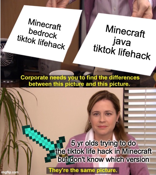 lol | Minecraft bedrock tiktok lifehack; Minecraft java  tiktok lifehack; 5 yr olds trying to do the tiktok life hack in Minecraft but don't know which version | image tagged in memes,they're the same picture | made w/ Imgflip meme maker
