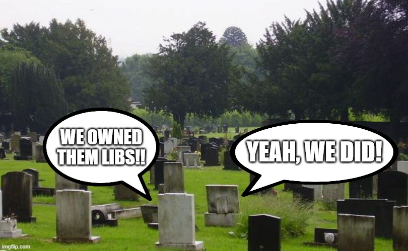Graveyard | WE OWNED THEM LIBS!! YEAH, WE DID! | image tagged in graveyard | made w/ Imgflip meme maker