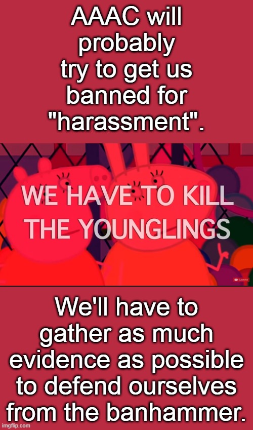Make sure to read the meme below too | AAAC will probably try to get us banned for "harassment". We'll have to gather as much evidence as possible to defend ourselves from the banhammer. | image tagged in we have to kill the younglings | made w/ Imgflip meme maker
