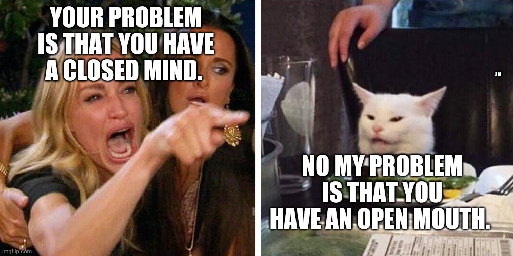 Smudge the cat | YOUR PROBLEM IS THAT YOU HAVE A CLOSED MIND. J M; NO MY PROBLEM IS THAT YOU HAVE AN OPEN MOUTH. | image tagged in smudge the cat | made w/ Imgflip meme maker