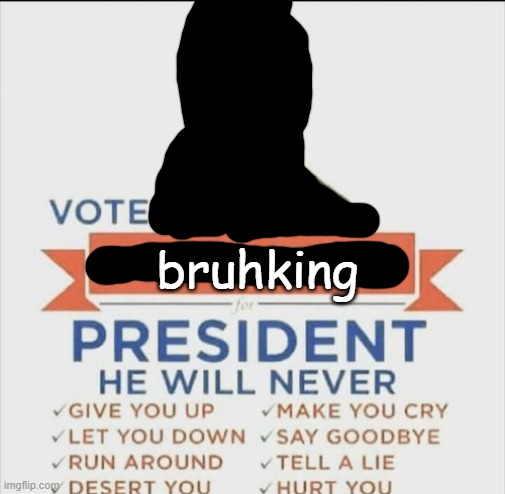 vote rick astley for president | bruhking | made w/ Imgflip meme maker