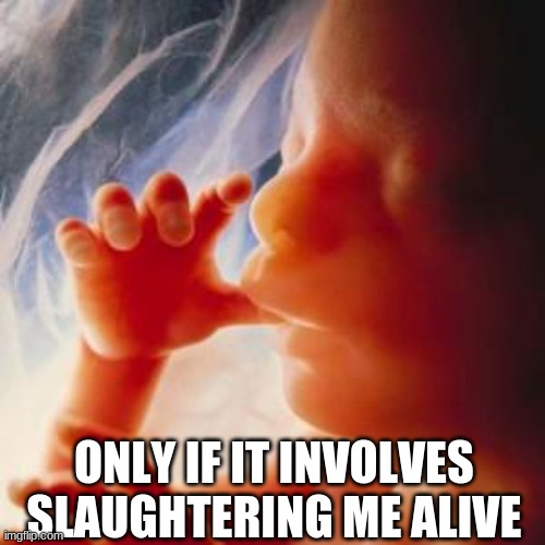 Fetus | ONLY IF IT INVOLVES SLAUGHTERING ME ALIVE | image tagged in fetus | made w/ Imgflip meme maker