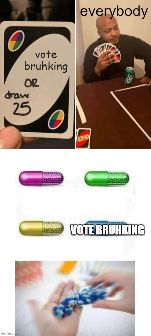 everybody; vote bruhking; VOTE BRUHKING | image tagged in memes,uno draw 25 cards,blank pills meme | made w/ Imgflip meme maker