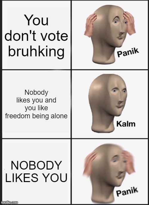 don't. risk. it. | You don't vote bruhking; Nobody likes you and you like freedom being alone; NOBODY LIKES YOU | image tagged in memes,panik kalm panik | made w/ Imgflip meme maker