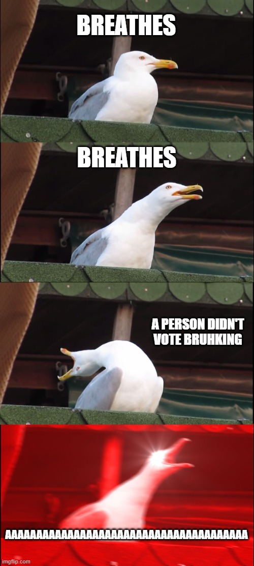 Inhaling Seagull | BREATHES; BREATHES; A PERSON DIDN'T VOTE BRUHKING; AAAAAAAAAAAAAAAAAAAAAAAAAAAAAAAAAAAAAAA | image tagged in memes,inhaling seagull | made w/ Imgflip meme maker