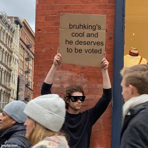 bruhking's cool and he deserves to be voted | image tagged in memes,guy holding cardboard sign | made w/ Imgflip meme maker