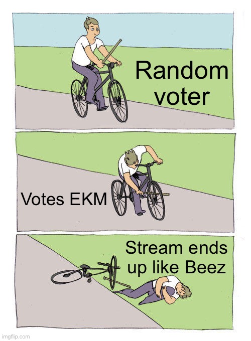 Make the Right Choice! Vote RUP! | Random voter; Votes EKM; Stream ends up like Beez | image tagged in memes,bike fall | made w/ Imgflip meme maker