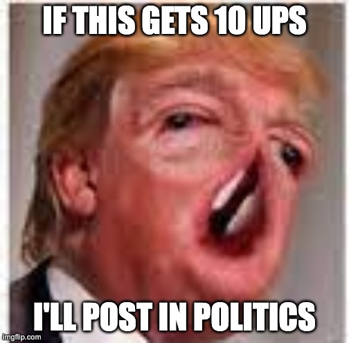 IF THIS GETS 10 UPS; I'LL POST IN POLITICS | made w/ Imgflip meme maker