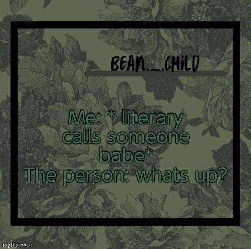 WHY DO YOU ALL RESPOND TO 'BABE' FROM ME | Me: * literary calls someone babe*
The person: whats up? | image tagged in beans army green temp | made w/ Imgflip meme maker