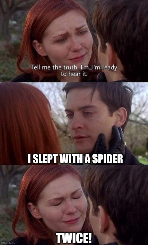 Tell me the truth, I'm ready to hear it | I SLEPT WITH A SPIDER; TWICE! | image tagged in tell me the truth i'm ready to hear it | made w/ Imgflip meme maker