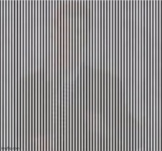 Shake your head while looking at the image | image tagged in shake,head,funny,memes,funny memes,wow | made w/ Imgflip meme maker