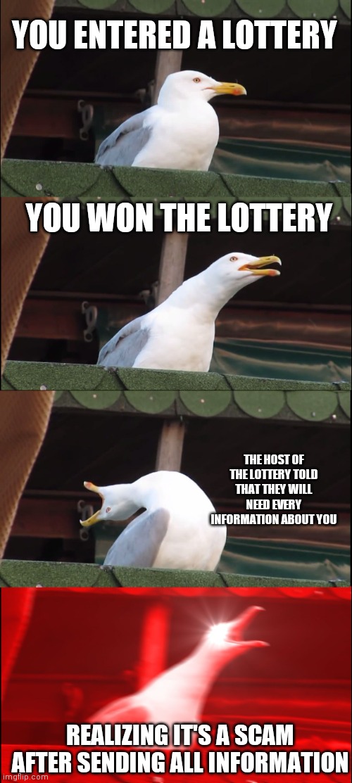 Inhaling Seagull Meme | YOU ENTERED A LOTTERY; YOU WON THE LOTTERY; THE HOST OF THE LOTTERY TOLD THAT THEY WILL NEED EVERY INFORMATION ABOUT YOU; REALIZING IT'S A SCAM AFTER SENDING ALL INFORMATION | image tagged in memes,inhaling seagull | made w/ Imgflip meme maker