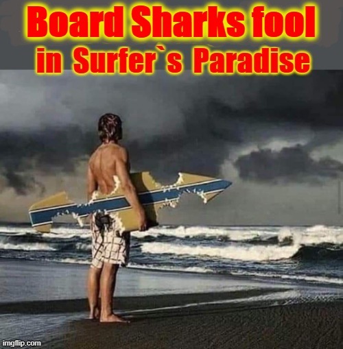Board Sharks | image tagged in surfing | made w/ Imgflip meme maker