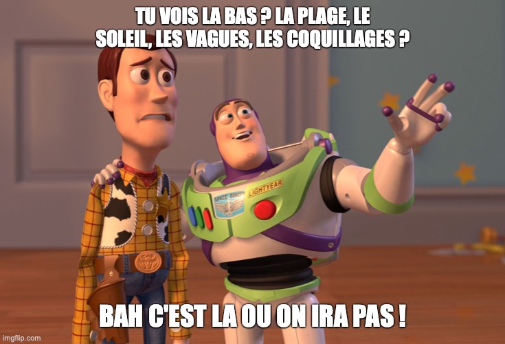 X, X Everywhere Meme | TU VOIS LA BAS ? LA PLAGE, LE SOLEIL, LES VAGUES, LES COQUILLAGES ? BAH C'EST LA OU ON IRA PAS ! | image tagged in memes,x x everywhere | made w/ Imgflip meme maker