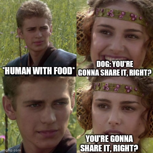 For the better right blank |  DOG: YOU'RE GONNA SHARE IT, RIGHT? *HUMAN WITH FOOD*; YOU'RE GONNA SHARE IT, RIGHT? | image tagged in for the better right blank,anakin padme 4 panel,dogs,food,doggo,true | made w/ Imgflip meme maker