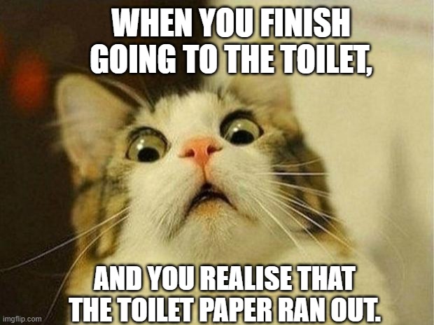 Scared Cat Meme | WHEN YOU FINISH GOING TO THE TOILET, AND YOU REALISE THAT THE TOILET PAPER RAN OUT. | image tagged in memes,scared cat,toilet paper,toilet,no more toilet paper,funny | made w/ Imgflip meme maker
