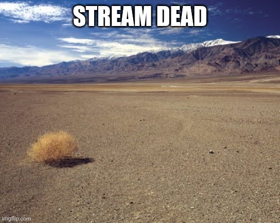 e | STREAM DEAD | image tagged in desert tumbleweed | made w/ Imgflip meme maker