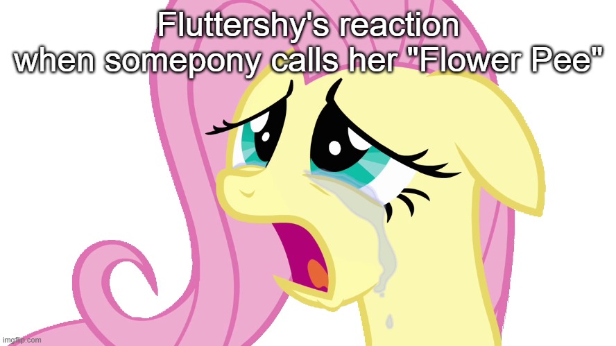 Fluttershy's reaction to being called "Flower Pee" | Fluttershy's reaction
when somepony calls her "Flower Pee" | image tagged in fluttershy,pee,urine,my little pony,my little pony friendship is magic | made w/ Imgflip meme maker