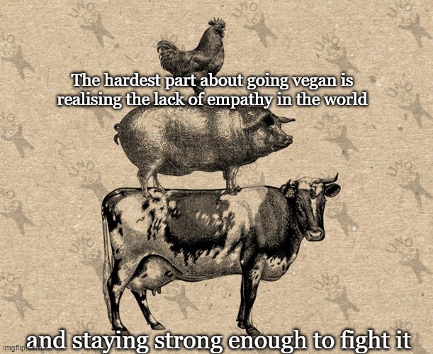 vegan cow pig hen | The hardest part about going vegan is realising the lack of empathy in the world; and staying strong enough to fight it | image tagged in memes,vegan,empathy | made w/ Imgflip meme maker