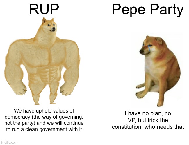 Vote RUP to keep an efficient government! | RUP; Pepe Party; We have upheld values of democracy (the way of governing, not the party) and we will continue to run a clean government with it; I have no plan, no VP, but frick the constitution, who needs that | image tagged in memes,buff doge vs cheems | made w/ Imgflip meme maker