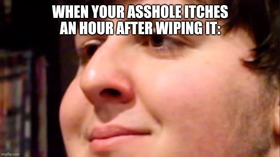 Eeeeeeeeeash | WHEN YOUR ASSHOLE ITCHES AN HOUR AFTER WIPING IT: | image tagged in jontron internal screaming | made w/ Imgflip meme maker