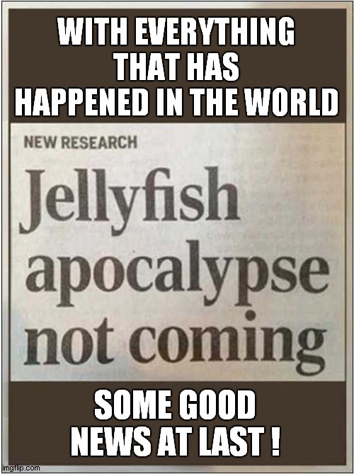 Cheer Up Everybody ! |  WITH EVERYTHING THAT HAS HAPPENED IN THE WORLD; SOME GOOD NEWS AT LAST ! | image tagged in fun,headline,jellyfish,apocalypse,good news everyone | made w/ Imgflip meme maker