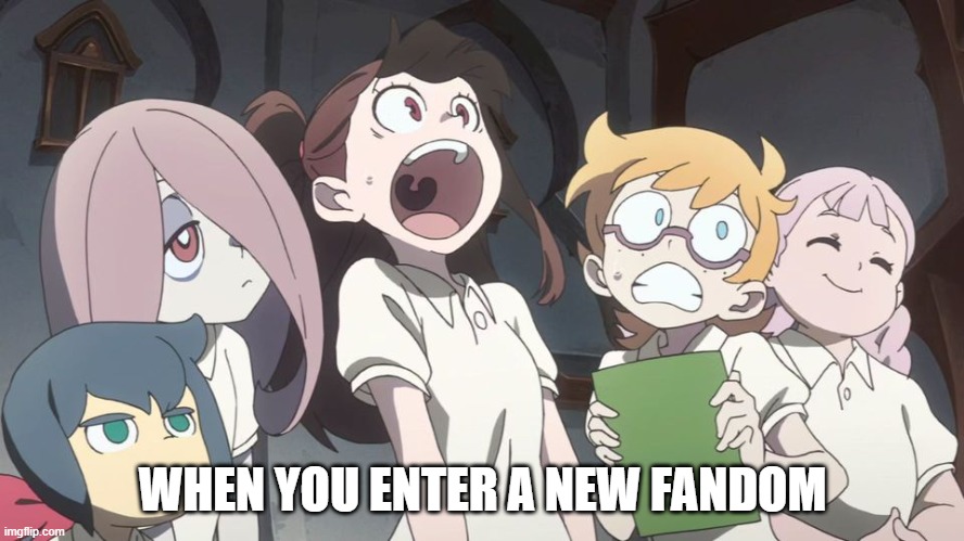 The Girls of LWA in awe | WHEN YOU ENTER A NEW FANDOM | image tagged in the girls of lwa in awe | made w/ Imgflip meme maker