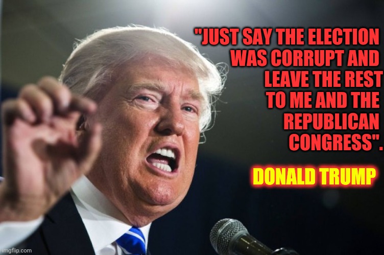 People Have Been Hung, Or Resigned, For Less | "JUST SAY THE ELECTION 
WAS CORRUPT AND 
LEAVE THE REST
 TO ME AND THE 
REPUBLICAN 
CONGRESS". DONALD TRUMP | image tagged in donald trump,memes,lock him up,traitors,trumpublican terrorists,traitor | made w/ Imgflip meme maker