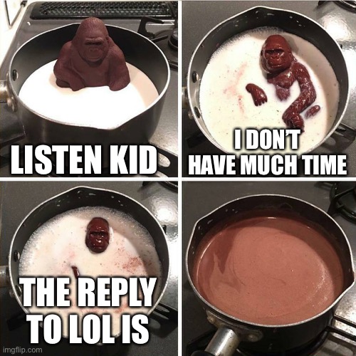 NOOOOOOOO CHOCLATE GORILLA | LISTEN KID; I DON’T HAVE MUCH TIME; THE REPLY TO LOL IS | image tagged in chocolate gorilla | made w/ Imgflip meme maker