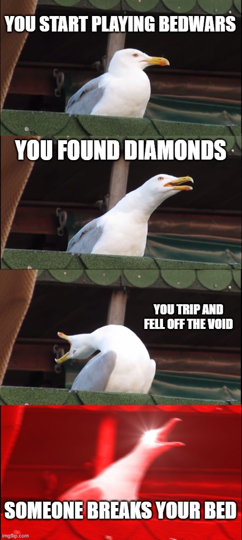 Normal players in bedwars | YOU START PLAYING BEDWARS; YOU FOUND DIAMONDS; YOU TRIP AND FELL OFF THE VOID; SOMEONE BREAKS YOUR BED | image tagged in memes,inhaling seagull | made w/ Imgflip meme maker