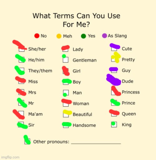 I decided to update mine | image tagged in pronouns sheet | made w/ Imgflip meme maker