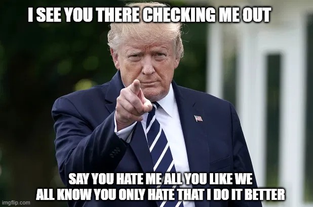 STFU | I SEE YOU THERE CHECKING ME OUT; SAY YOU HATE ME ALL YOU LIKE WE ALL KNOW YOU ONLY HATE THAT I DO IT BETTER | image tagged in donald trump approves | made w/ Imgflip meme maker