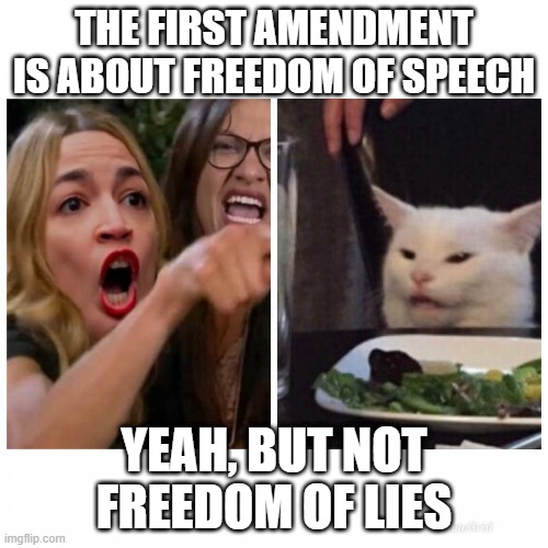 Freedom Of Speech Does Not Mean Freedom Of Lies | THE FIRST AMENDMENT IS ABOUT FREEDOM OF SPEECH; YEAH, BUT NOT FREEDOM OF LIES | image tagged in aoc vs smudge | made w/ Imgflip meme maker