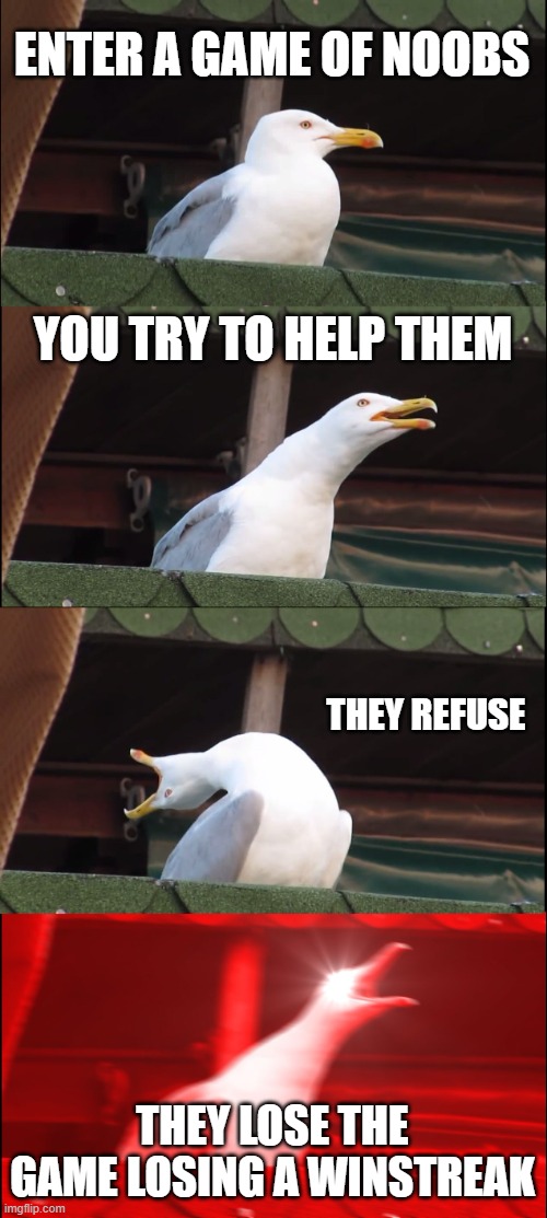 umm this happened once | ENTER A GAME OF NOOBS; YOU TRY TO HELP THEM; THEY REFUSE; THEY LOSE THE GAME LOSING A WINSTREAK | image tagged in memes,inhaling seagull | made w/ Imgflip meme maker