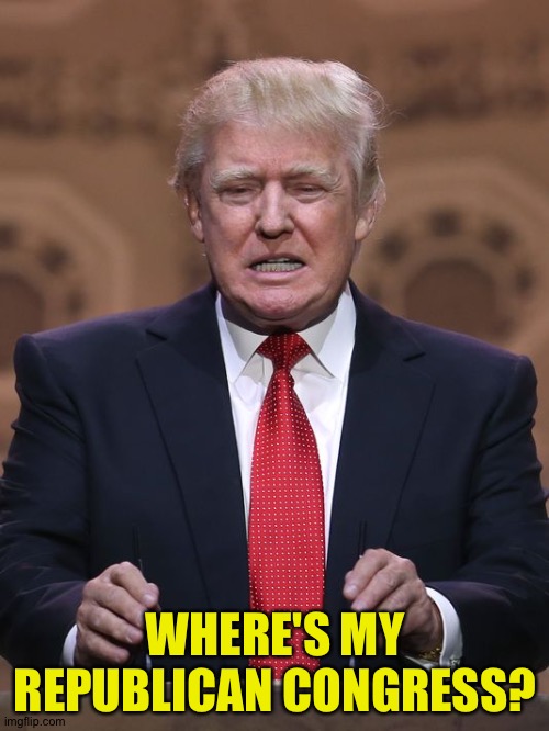 Donald Trump | WHERE'S MY REPUBLICAN CONGRESS? | image tagged in donald trump | made w/ Imgflip meme maker